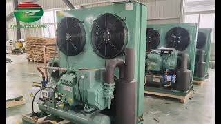 condensing units for cold storage