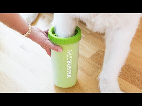 Dexas | MudBuster® Silicone Dog Paw Cleaner