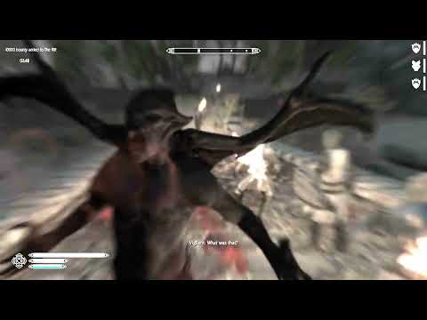 "Totally Lore Accurate Vigilant Of Stendarr..."