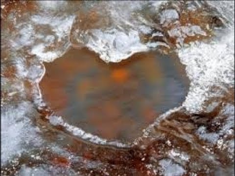 Asgjë njësoj(Nothing the same)- Vedat Ademi (Albanian&English Lyrics)