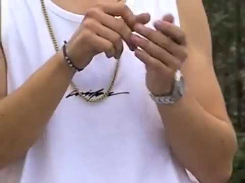 Wiskie Culture by Leguard.co S17