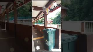 Download lagu view homestay versi rumah panjai bidayuh serian//kampung bidayuh mp3