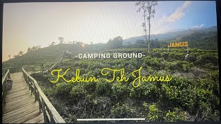 Download lagu CAMPING GROUND WISATA KEBUN TEH JAMUS NGAWI JAWA TIMUR mp3 Download lagu CAMPING GROUND WISATA KEBUN TEH JAMUS NGAWI JAWA TIMUR mp3