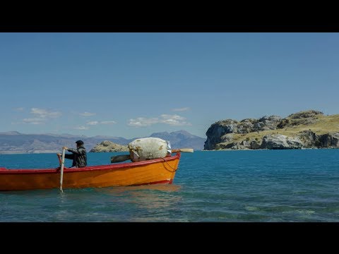 Benjamín Walker - Paños Fríos