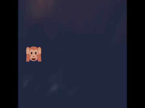 나 는 고 양 이 를 사 랑 한다😍