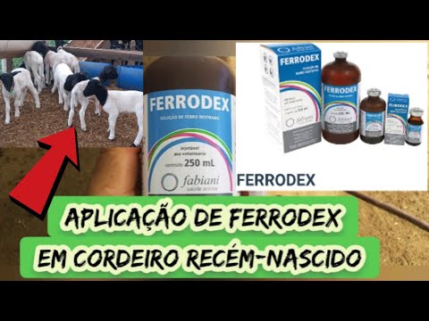 , title : 'Aplicação de FERRODEX em Borrego recém-nascido (consulte seu veterinário antes usar)'