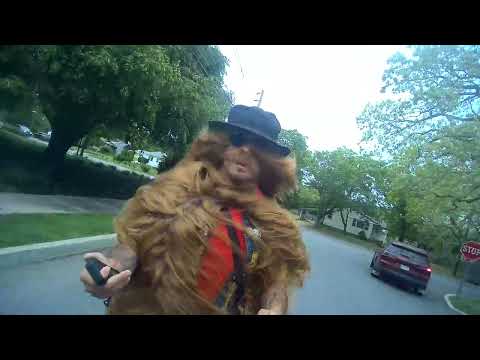 BC1 E-Board Cousin Itt 5