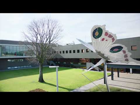 Timelapse Breton S.p.A. - Lapitec®