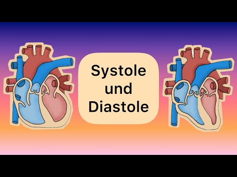 Systole and Diastole (Remake)
