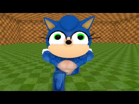New Female Sonic - Sonica Jumpscare - Roblox Piggy Fan Game