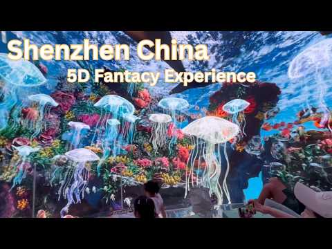 Shenzhen China | 5D Fantasy Space Experience