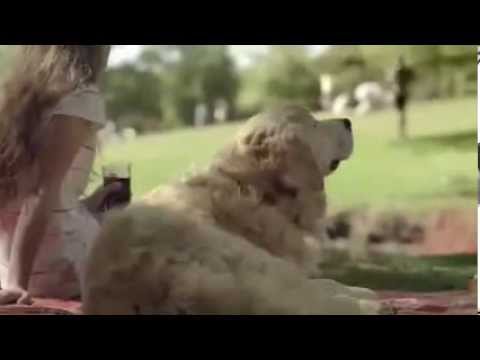 Schwip Schwap & Activia Verarsche [GER]