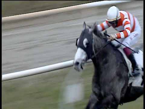 Galoppo 20/01/2020 - 5ª corsa