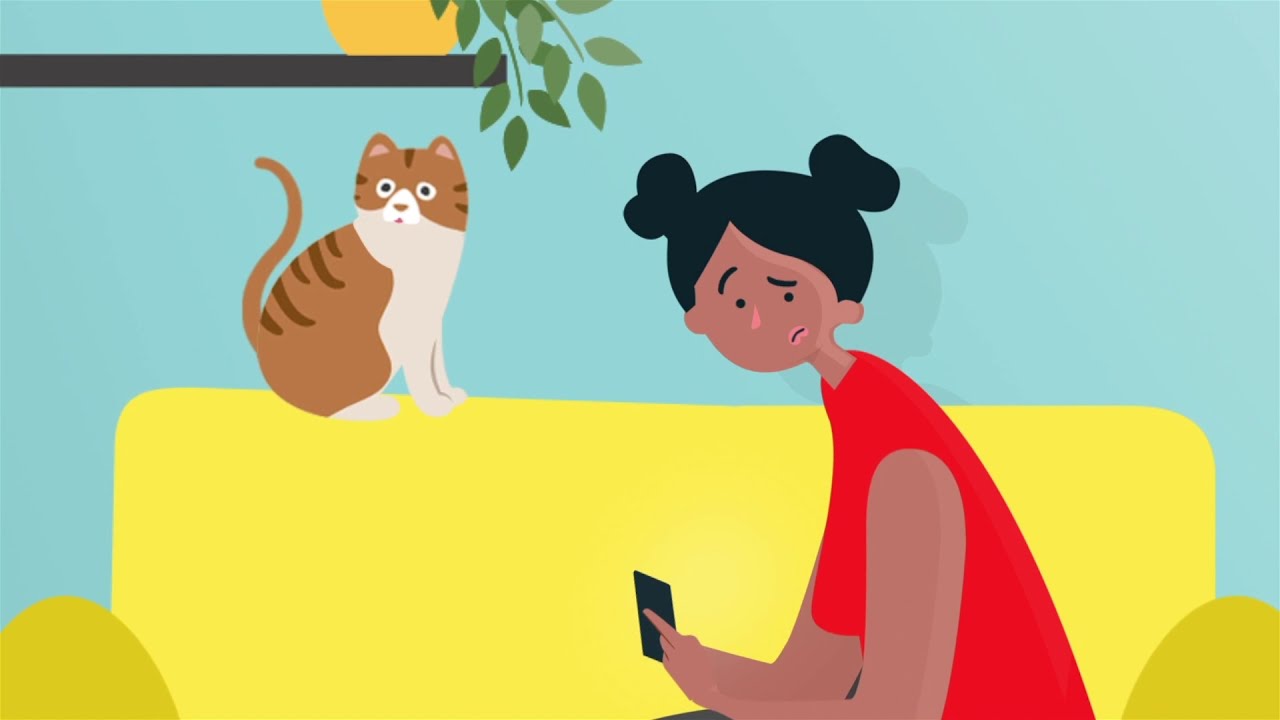 Educação Midiática no dia a dia: O universo da informação