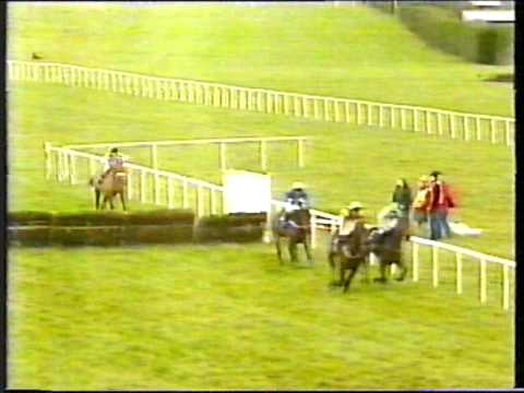 1996 - Leopardstown - Christmas Hurdle (3m) - What A Question
