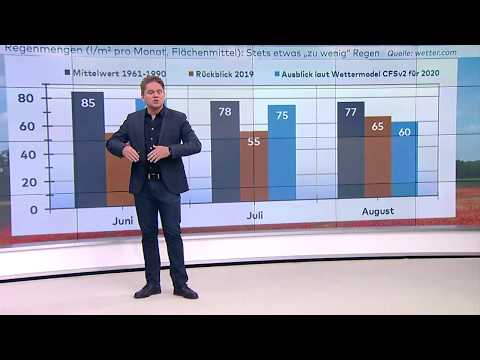 Wie wird der Sommer 2020? Meteorologe Alexander Hildebrand hat ein paar Antworten...