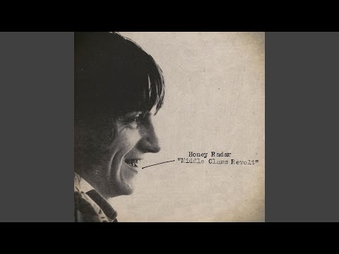 The Fall as Introduced by John Peel