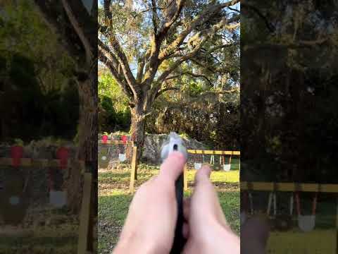 Is the S&W Governor the best self defense revolver?