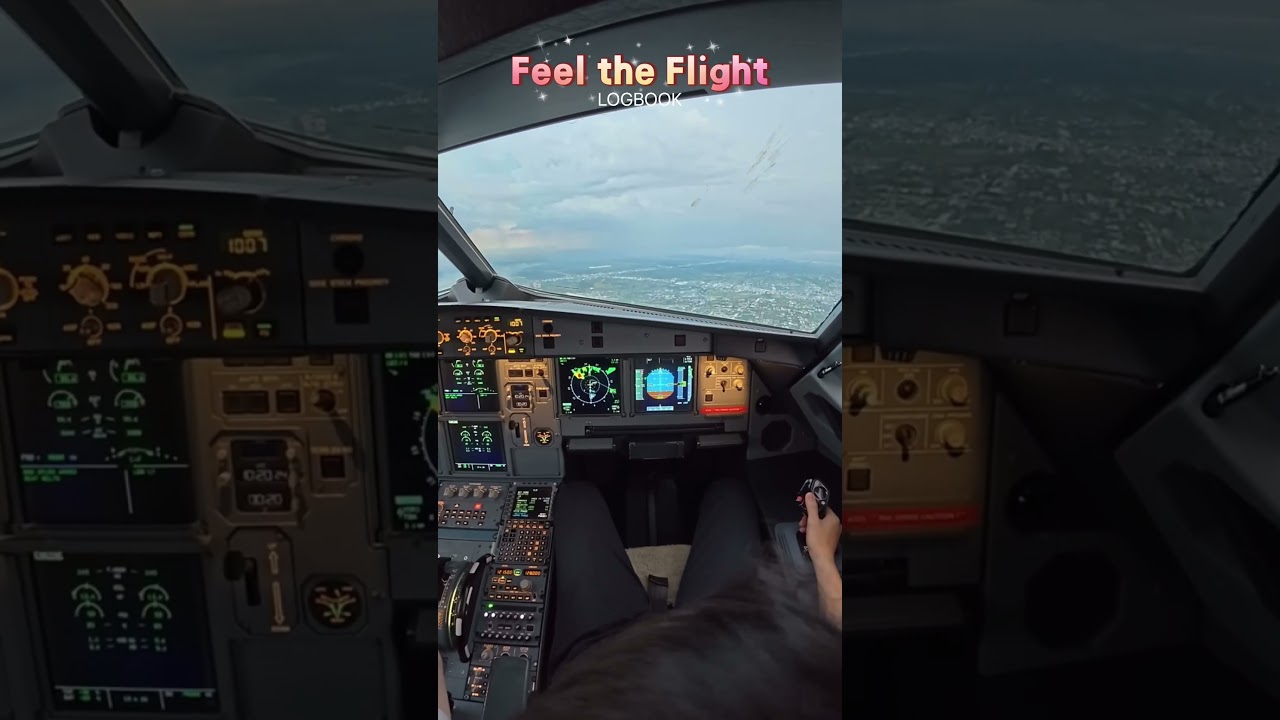 Feel the flight #airbus #aircraft #landing