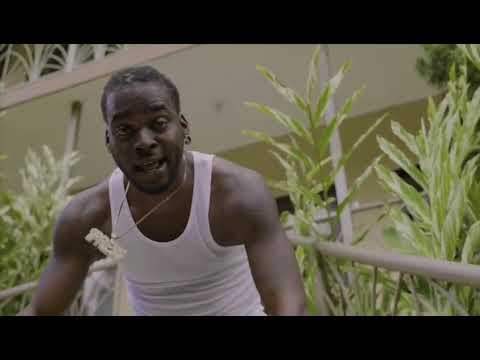 Shane E, Shane O - Island Breeze (Official Music Video)