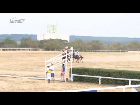 MI, 4. 8. 2018, 4. dostih - Cena města Mimoně