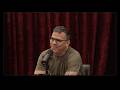 Download Subtitles for Joe Rogan Experience #2463 - Steve-O