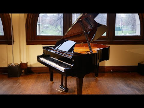 M. Steinert & Sons and the Steinway Designed Boston GP-178