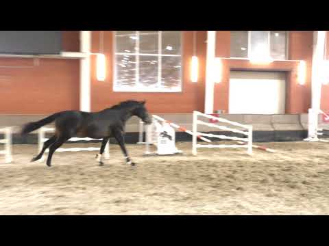 14 Cornet Obolensky Pilot Weinberg Princess E