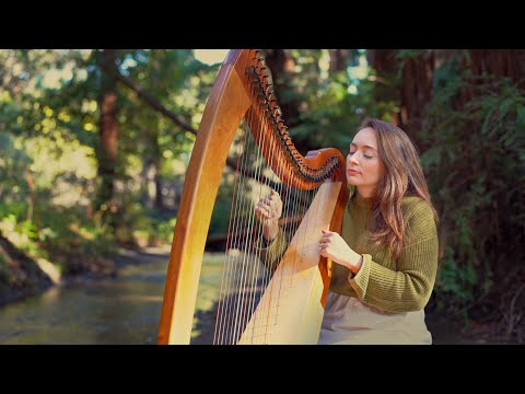 Healing Harp by the Redwood Brook (1 Hour) | Sarah Bhalla