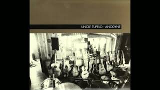 Uncle Tupelo  feat. Joe Ely | Are You Sure Hank Done It This Way?