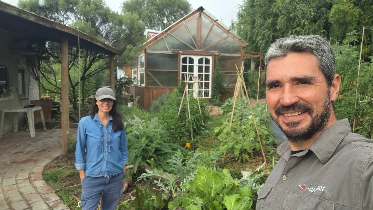 Desprocastrina conmigo 50