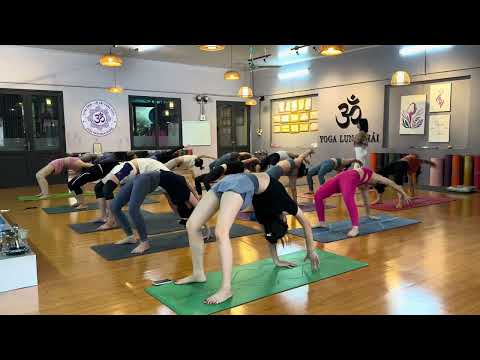 🕉️ Day 81 - Vinyasa Yoga / 90 Day Roadmap