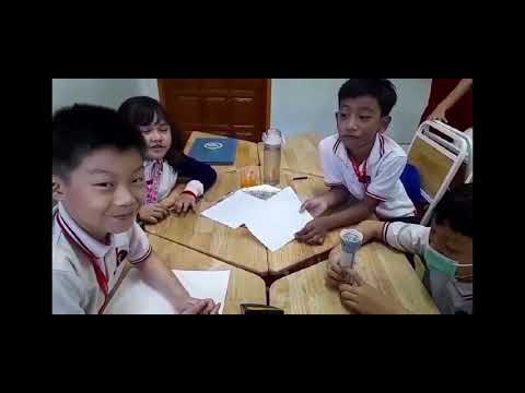 🌟Cambridge Primary 3 (On Campus) - Group Project - Science🌟