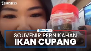 Viral Video Tamu Undangan Pernikahan Dapat Souvenir Ikan Cupang, Ini Kisahnya