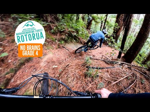 Have you even heard of it?? No Brains, Rotorua