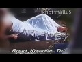 Kavyas Huge Milk Tanks Kavya Madhavan Without Saree Huge Boob And Cleavage Show