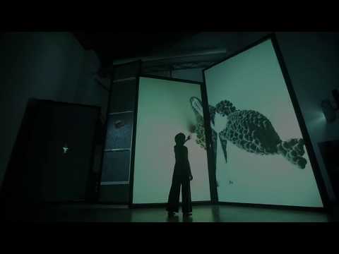 Forest Of Stele - Zhou Zhanxun & Baifan 2018