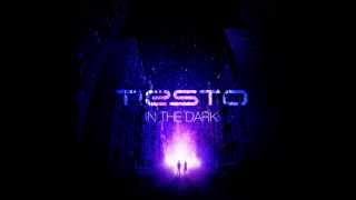 Download lagu DJ Tiesto - In The Dark (Dirty South Remix) mp3
