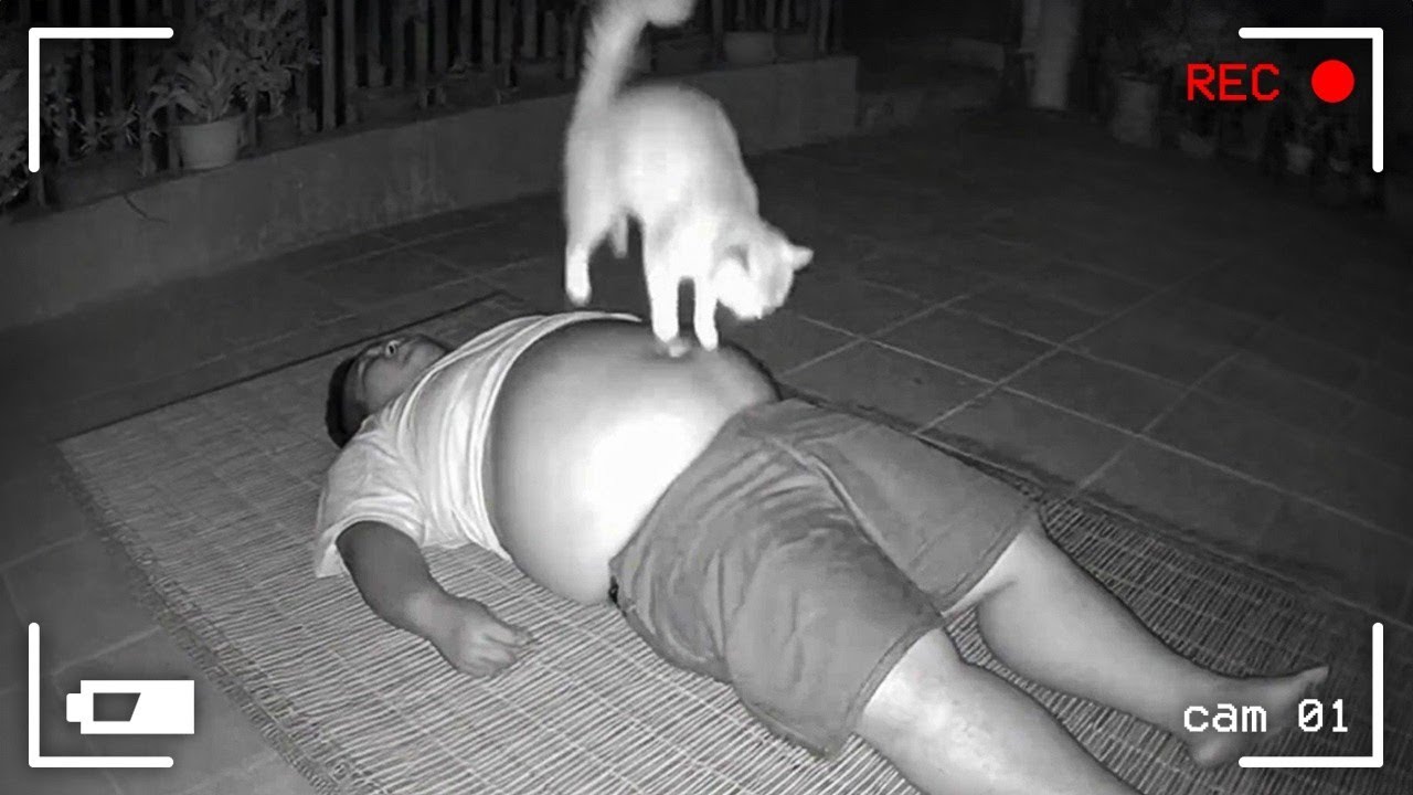 When animals become uncontrollable and are captured on camera