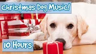 CHRISTMAS MUSIC FOR DOGS! Rudolph, Oh Christmas Tree, Joy to the World, Silent Night, Xmas for Dogs!