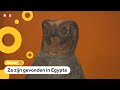 Eeuwenoude dierenmummies te zien in museum