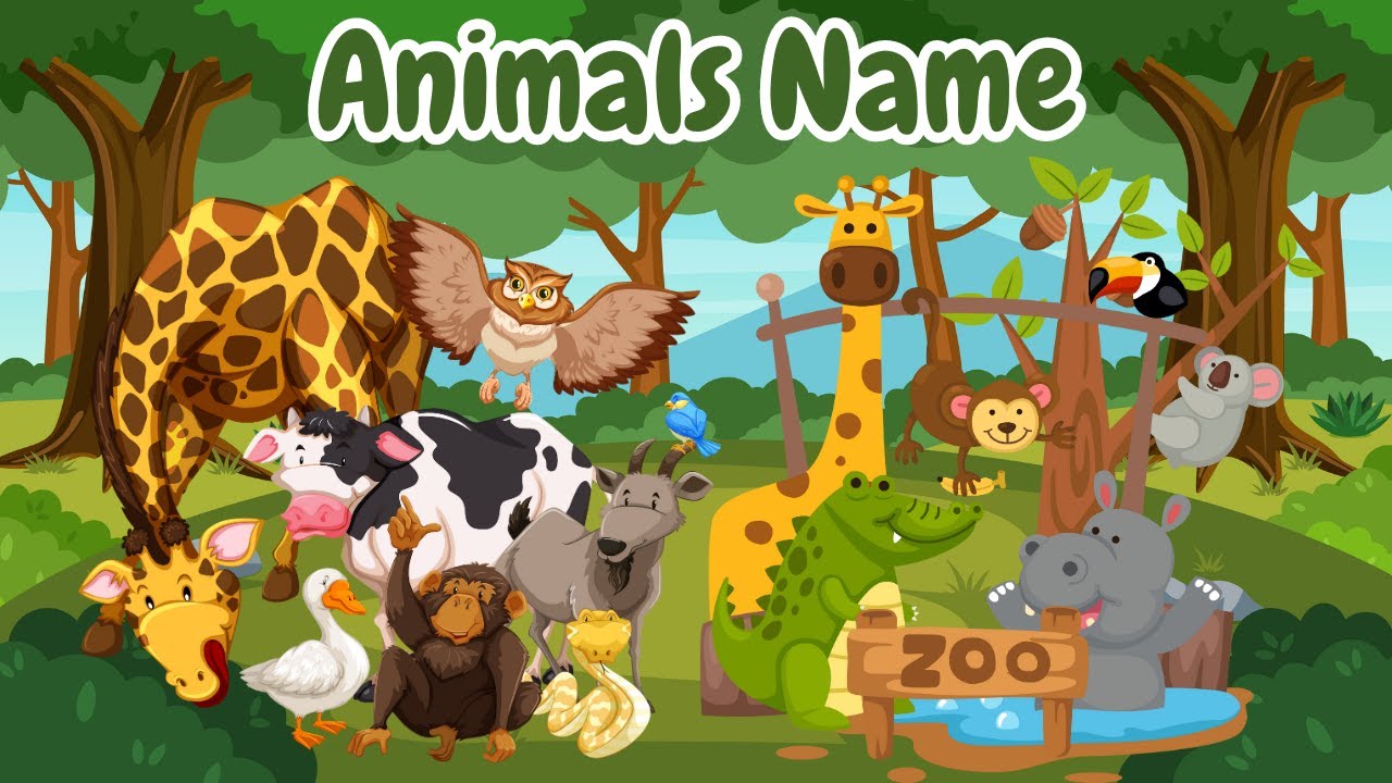 Animals names - Different Names of the Animal - 20 Amazing Animals  Moko Loko Tv - Kids Stories