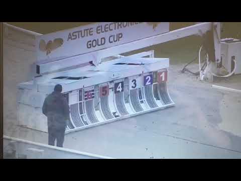 Bubbly Roger In Trap 1 Doing 28:63 In His Trial With Bubbly Turbo At Towcester.