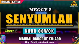 Download lagu SENYUMLAH - KARAOKE DANGDUT NADA PRIA (MEGGI Z) mp3