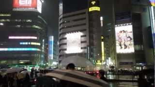 Electric President - Feathers