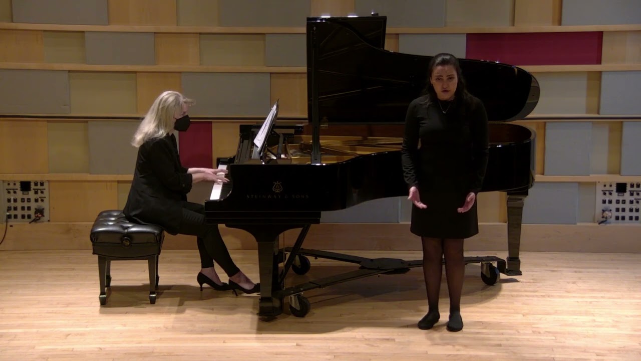 Promotional video thumbnail 2 for Classical Musician
