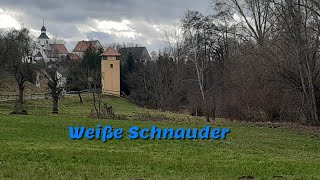 Weiße Schnauder