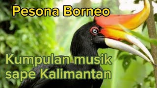 Download lagu Pesona Borneo || Kumpulan Musik Sape Dayak Kalimantan mp3