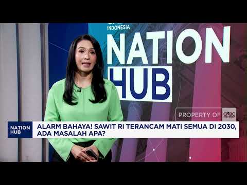 Alarm Bahaya! Sawit RI Terancam Mati Semua di 2030, Ada Masalah Apa?