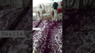 This Iranian guy has a real Goblin😳/duendes are real/elf/dobby